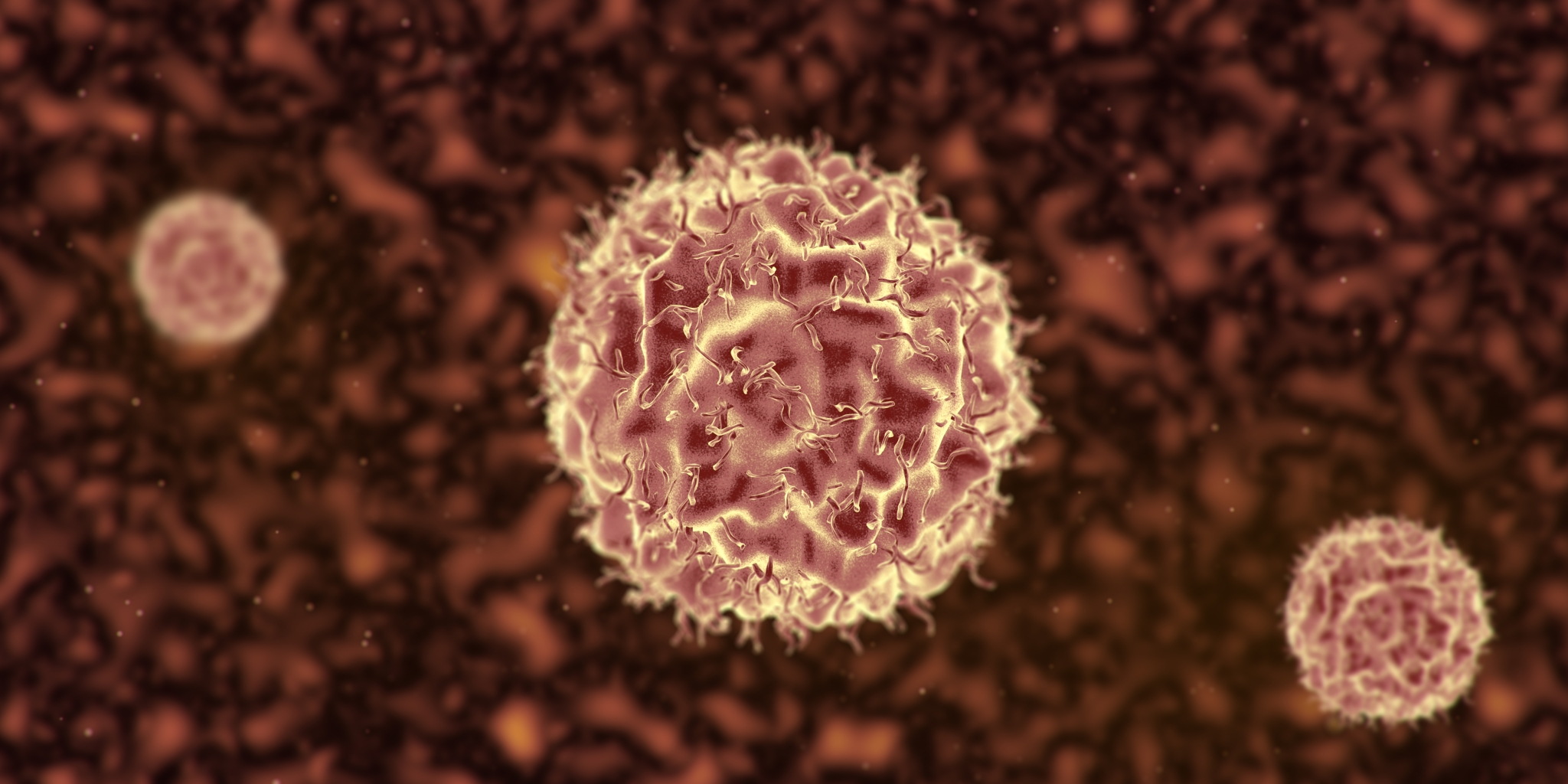 圭石堂抗癌成功案例,圭石堂谈中医治病