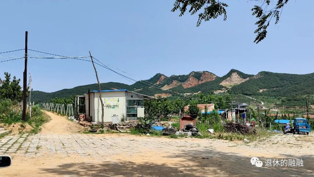 无花果12月结果,无花果叶子治痔疮的正确方法