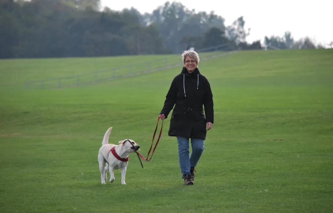每天坚持30分钟可以延缓大脑衰老,让人长寿的免费药