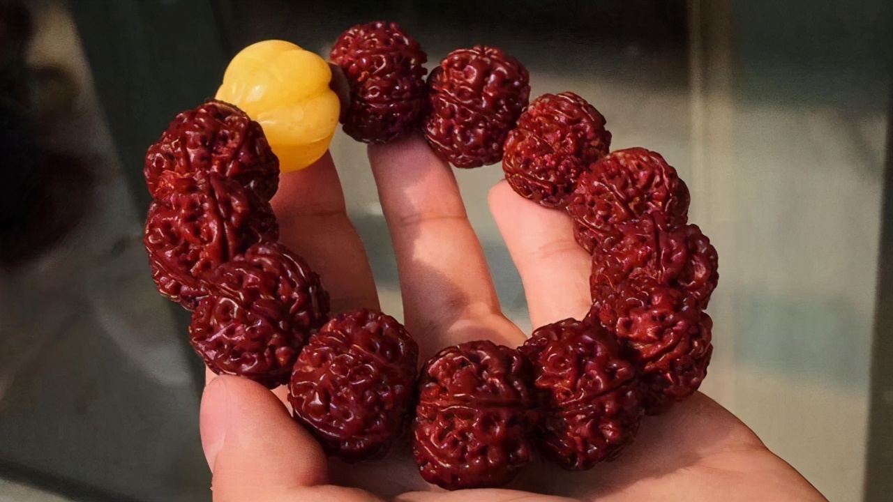 现在不玩金刚菩提了都玩什么,金刚菩提的基础知识