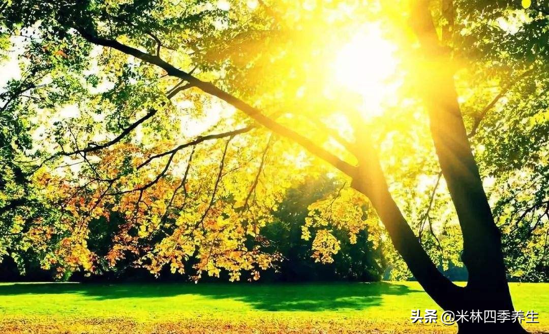 面对病毒，最好的办法就是增强免疫力，告诉你增强免疫力的方法