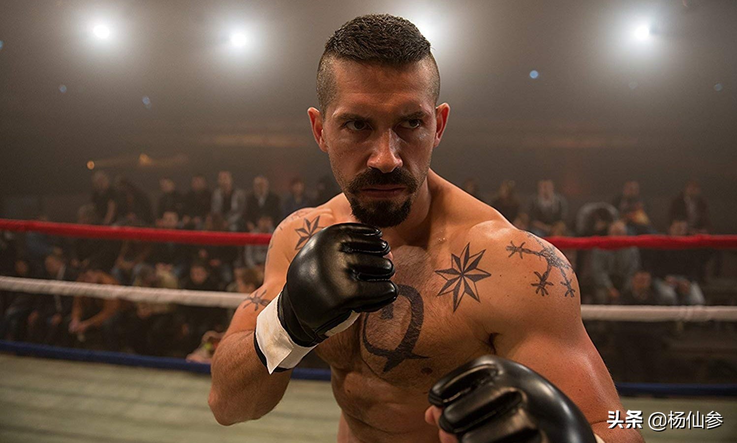 好莱坞动作巨星前十名排行榜,好莱坞评史上最伟大动作明星