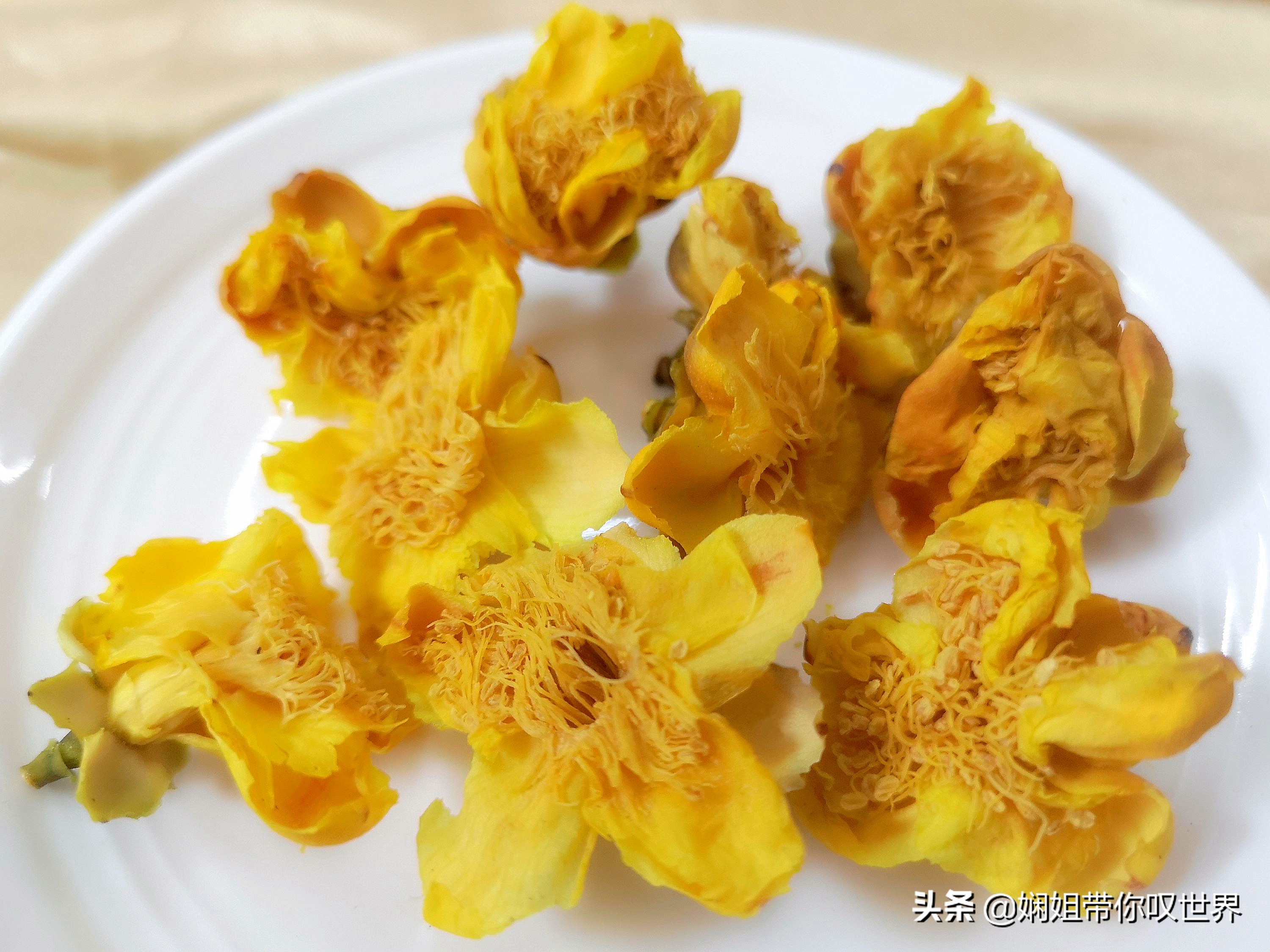 最美人间四月天赏读,最美人间四月天限时品鉴