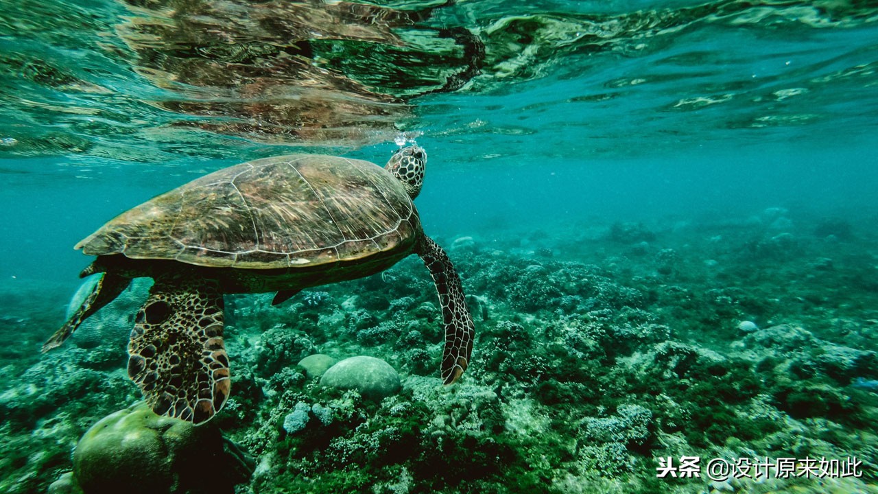 办公常用ps修图技巧,大型ps文件怎么保存图片格式