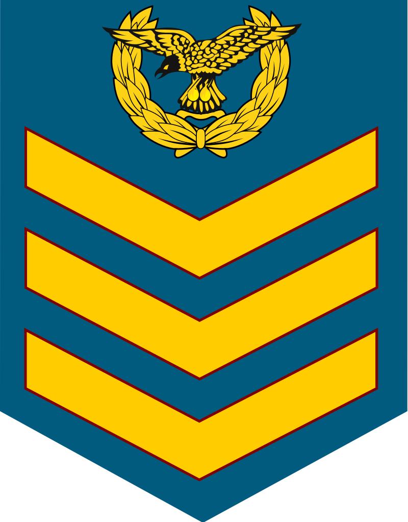 各国军衔标识韩国,马来西亚军衔等级对照表