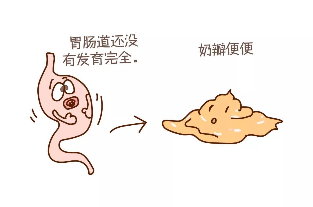 从便便看健康宝宝的15种便便解析,宝宝便便形状代表各种情况