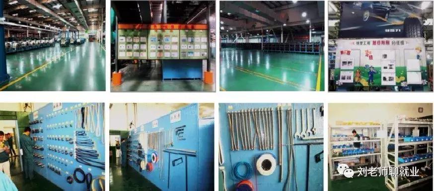 赛轮金宇公司,赛轮金宇集团最新消息