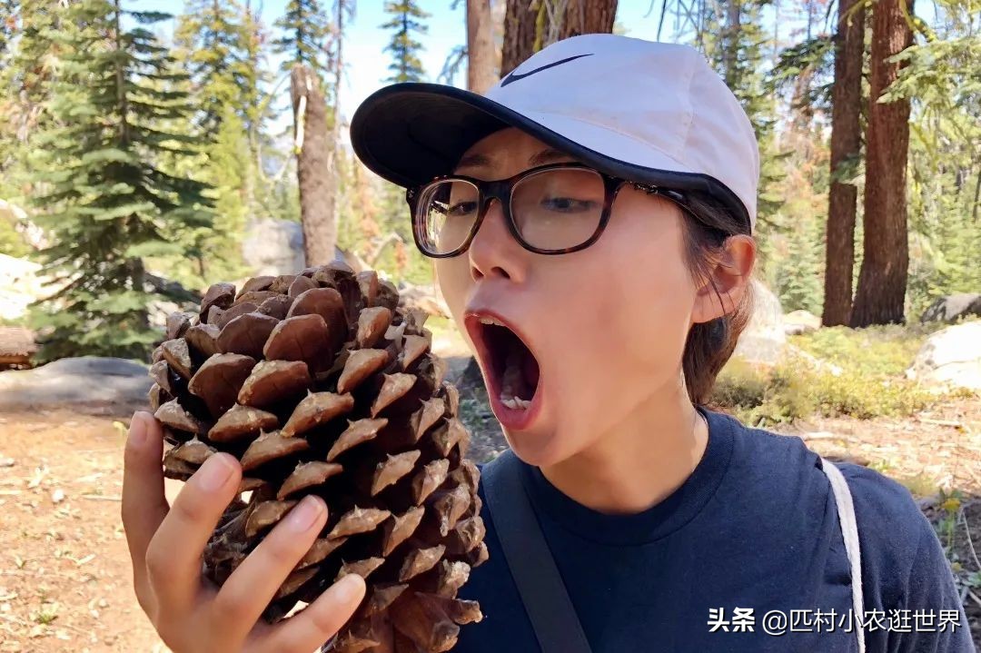 优胜美地国家公园十大景观,优胜美地风景