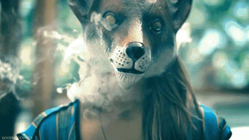 车内净化烟味有效办法,车内杀菌除异味烟味喷雾