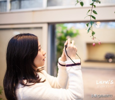 日本关西京都奈良旅游,日本关西自由行之奈良