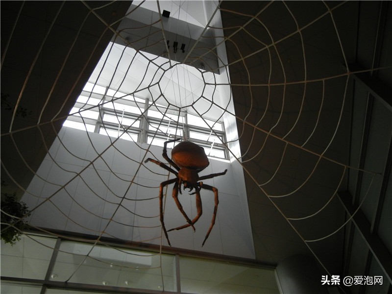 上海天文馆和科技馆哪个更值得去,上海自然博物馆和科技馆哪个好玩