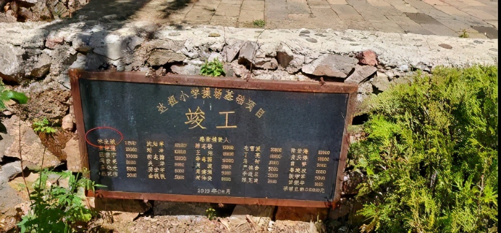 2017林生斌保姆纵火案完整视频,林生斌保姆纵火案死者几岁