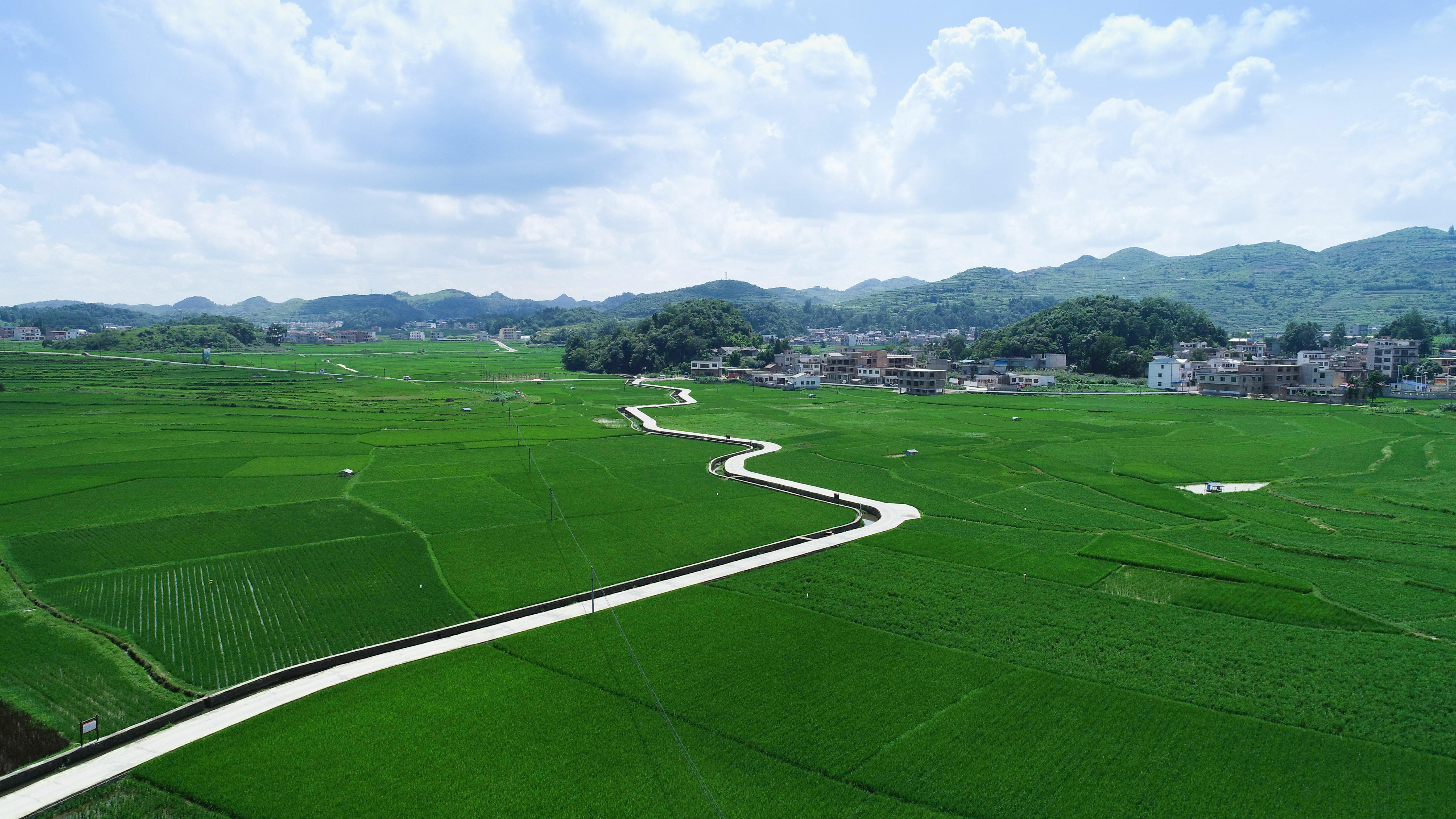 电商助推平坝优质米产业发展