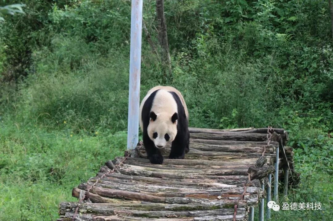 我们可以走一段路但不会到终点,旅行和生活要有方向感