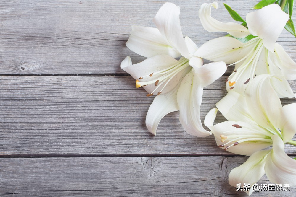 家中常见六种有毒花,室内不宜养的有毒花