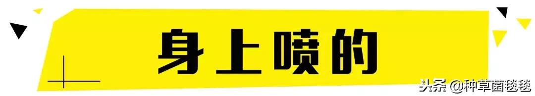 圣诞美颜好强大,圣诞超级套装大全