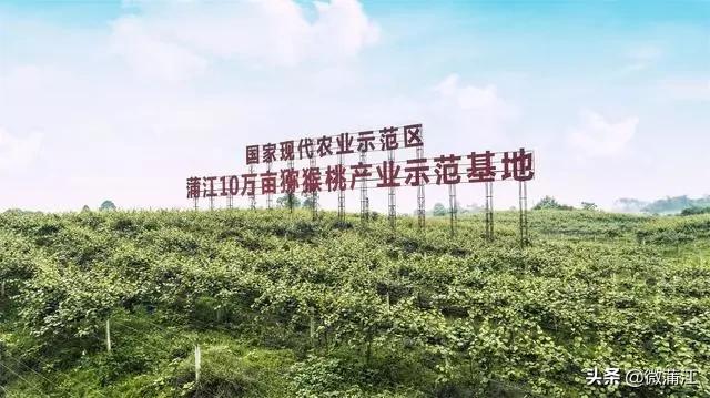 四川被国务院点名的县,蒲江通报