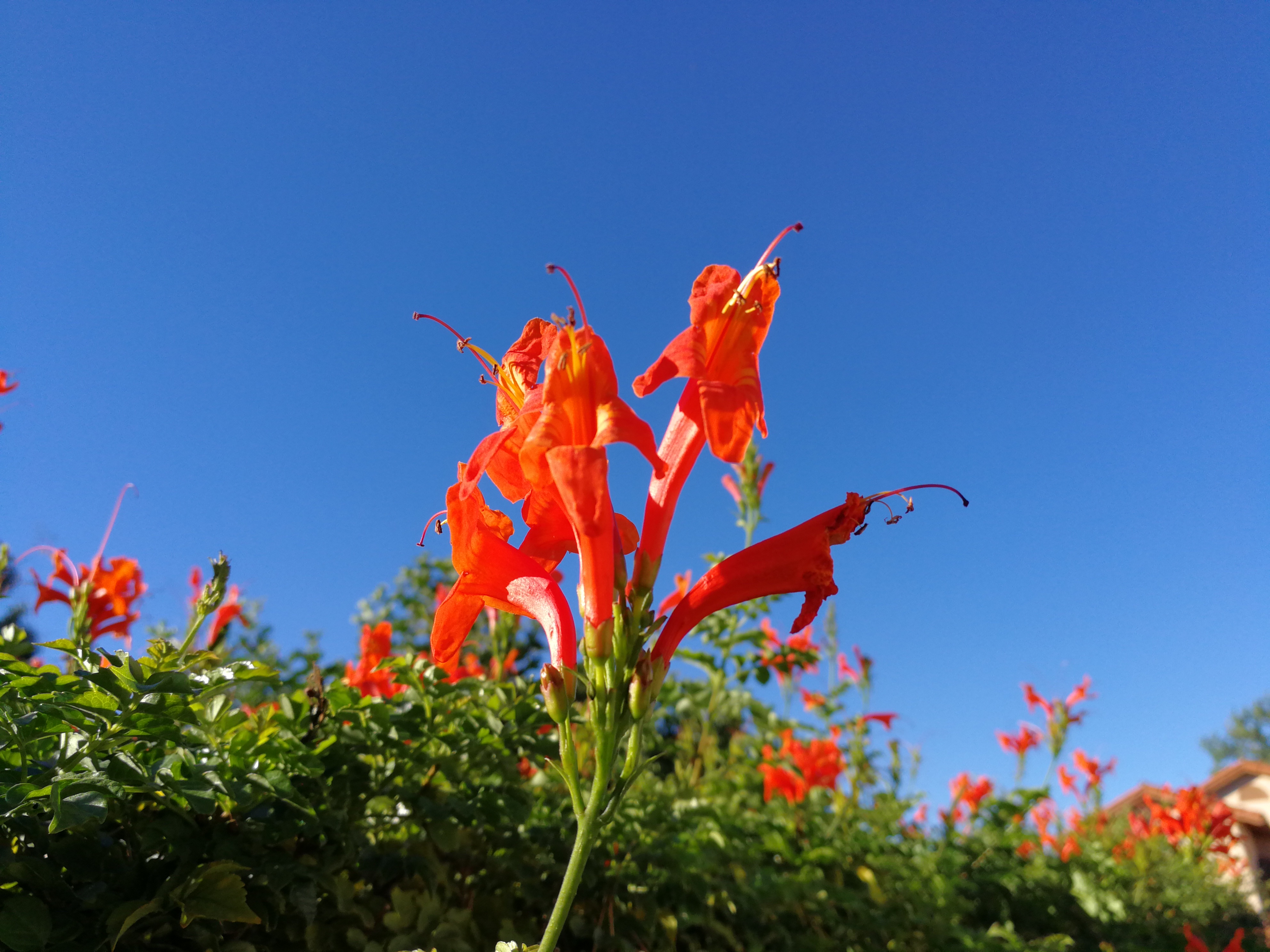 负债逾期协商处理,负债20万即将逾期如何协商啊