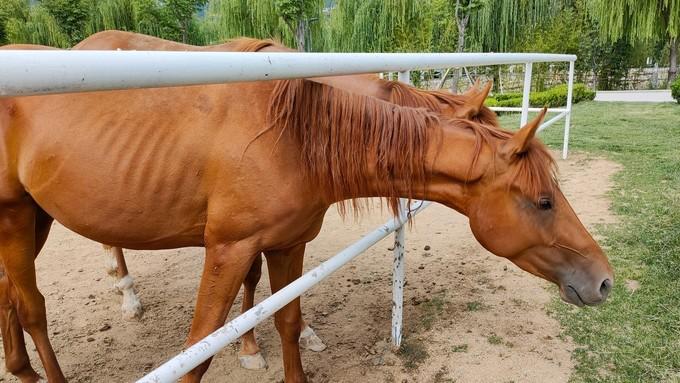 谁说去海边是夏天的专利?秋意正浓,三天两夜玩转烟威刚刚好!