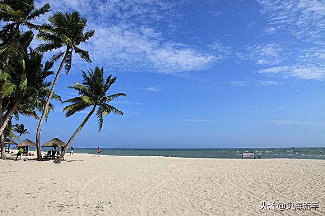 505分能报厦门大学吗,厦大分数线2019艺术