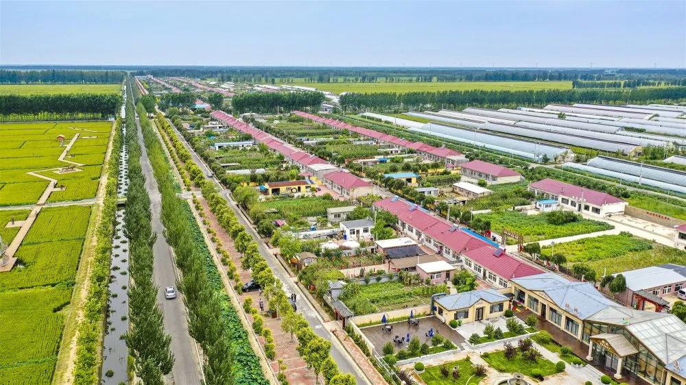 盘锦新发地乡博会,盘锦国际博览会