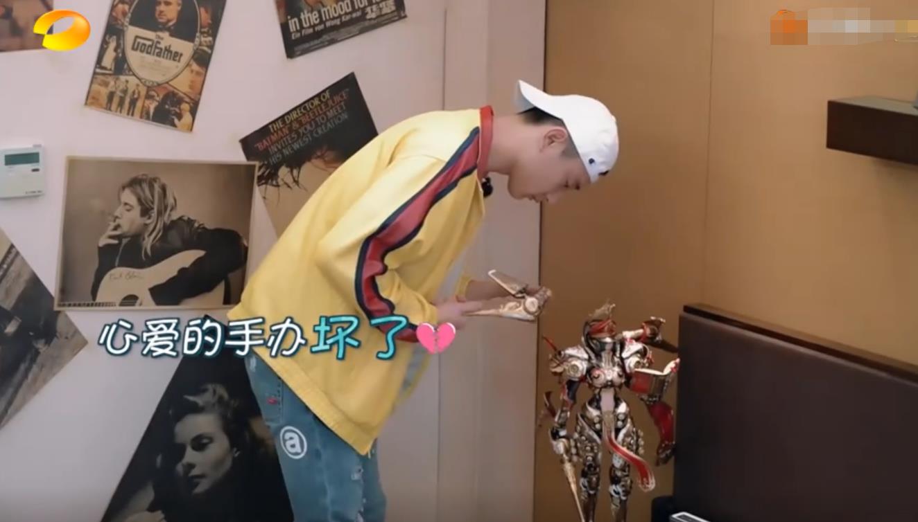 明星都玩的玩具,明星们的玩具