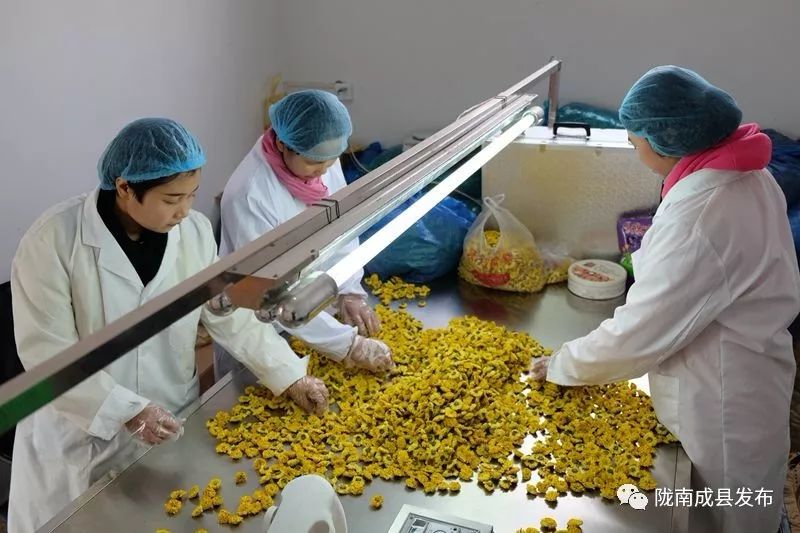 我叫成县，这是我2019年的自拍照~