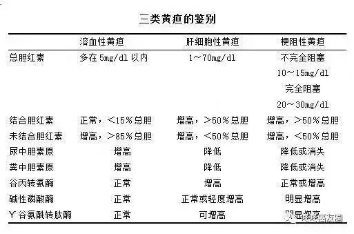 肿瘤全套血检报告怎么看,肿瘤肝功能指标怎么看
