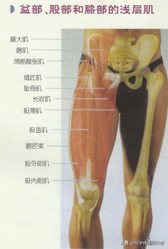 哪个瑜伽收紧臀部效果好,瑜伽练臀部最有效的动作