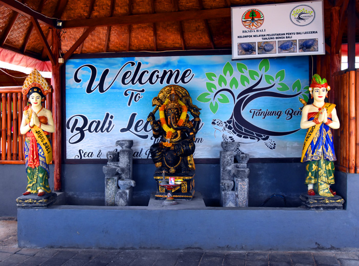 邂逅印度尼西亚巴厘岛,印度尼西亚各种岛深度游