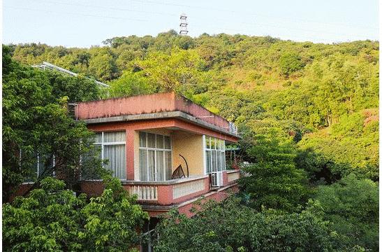 偷偷告诉你驴友们常去的从化小众特色小镇~比森林公园更美更好玩