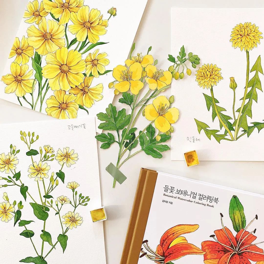 超美水彩画治愈,韩国女孩画画