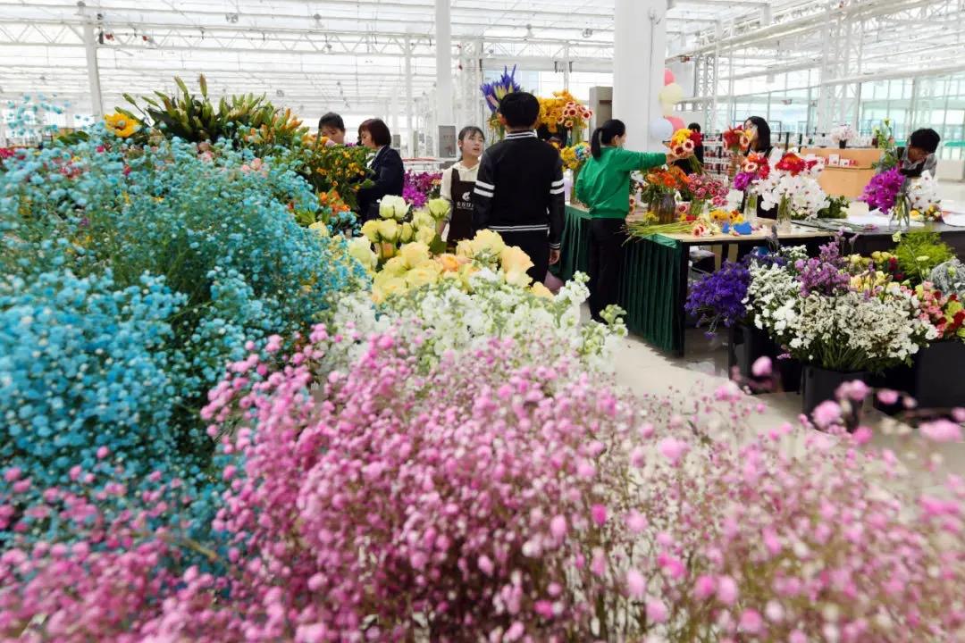 兰州新区三月游,五一兰州新区游