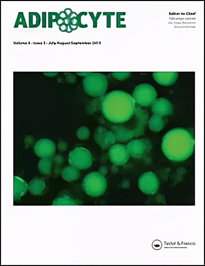 轻断食减肥法真的有效果吗,轻断食是科学的减肥方法吗