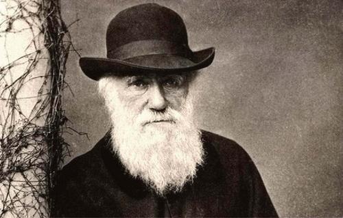 达尔文生物进化论提出的过程,达尔文进化论和拉马克的区别