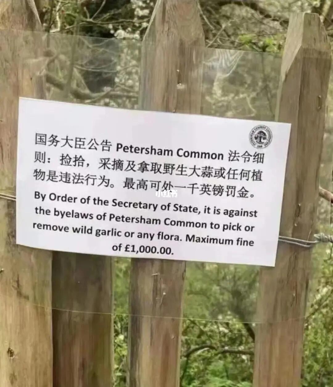 今年如何去英国读书 (来英国读书才知道的事)