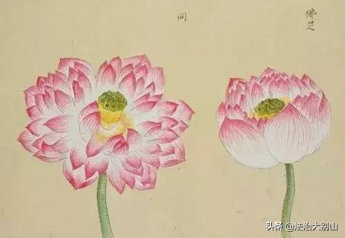 语文拓展100个容易被误用的成语,常见成语及成语误用的类型