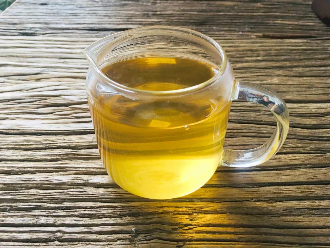 普洱六大古茶山,云南普洱景东茶山