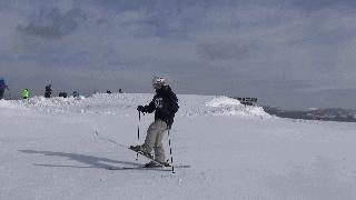 初学双板滑雪基本动作,双板滑雪基本姿势教学
