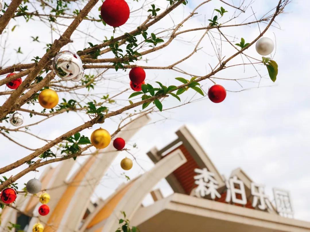 浪漫树屋、奇妙酒店、恒温水乐园...去江浙沪Top酒店跨个30℃的年