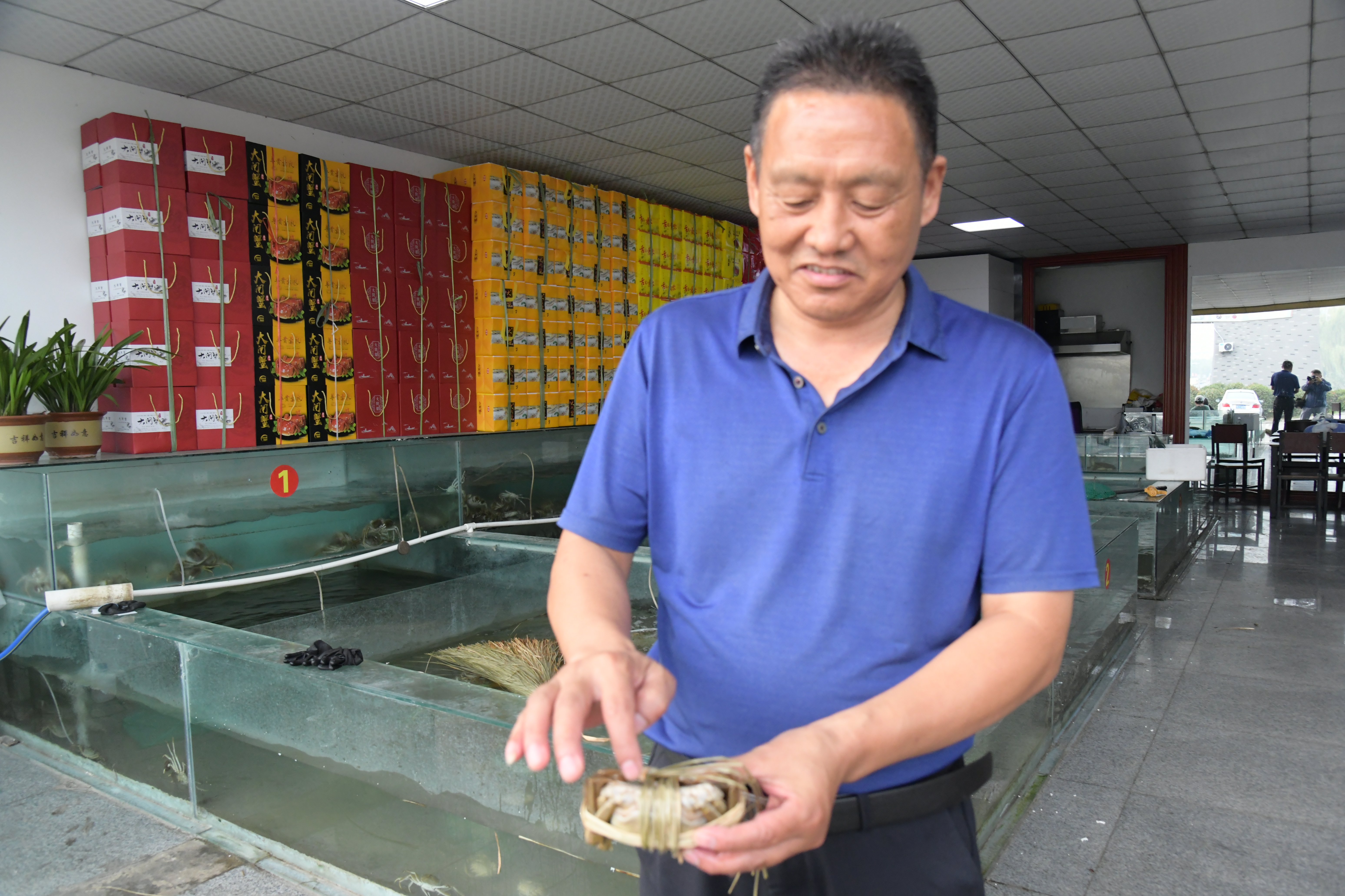 洪泽湖大闸蟹交易市场,洪泽湖大闸蟹批发价格最新行情