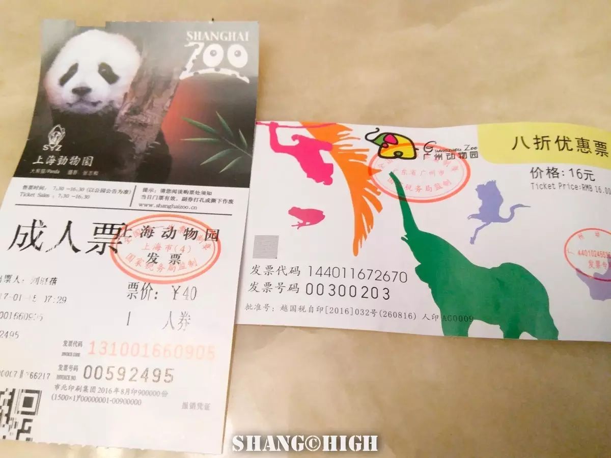 记者探访广州动物园,动物园观察动物