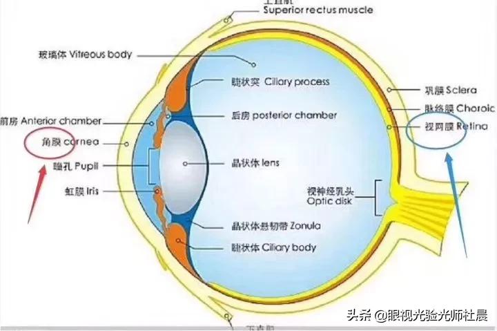 近视手术smart和全飞秒激光哪个好,400至500度的近视手术要多少钱啊