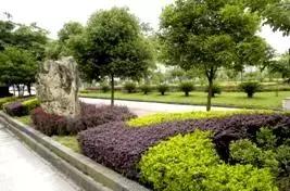 城市更新改造重点任务有几项,城市改造计划项目