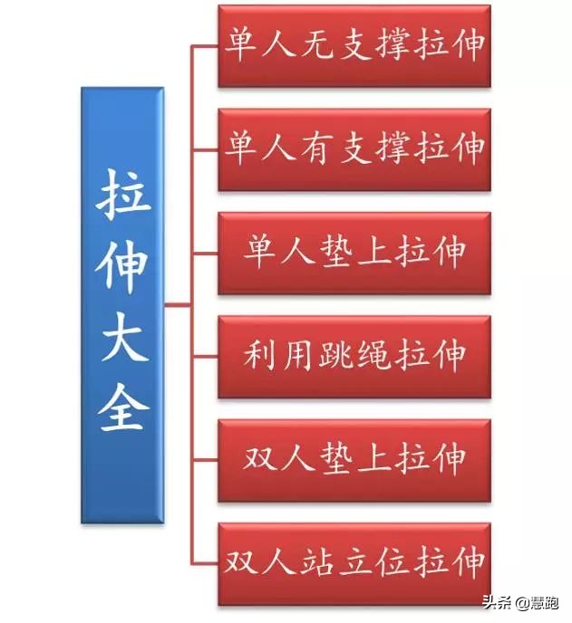 拉伸方法有多少种,最全拉伸教程