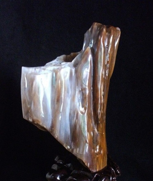 时来运转之陨石,硅化木极品