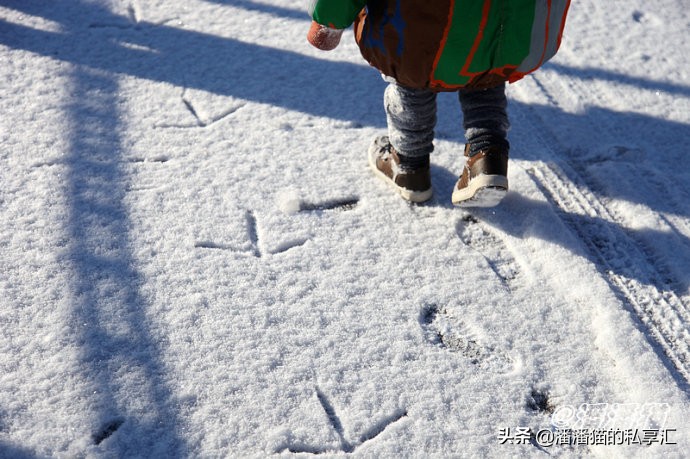 雪国和冰雪,雪国旅游