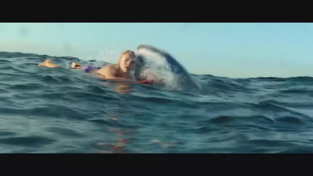 当遇见鲨鱼该怎么逃生,当在海里遇到鲨鱼怎么办