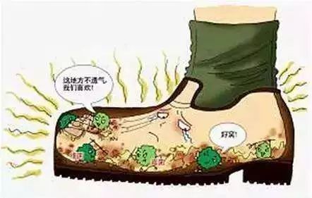 烘干机能去鞋臭,可以定时烘干鞋子神器杀菌除臭