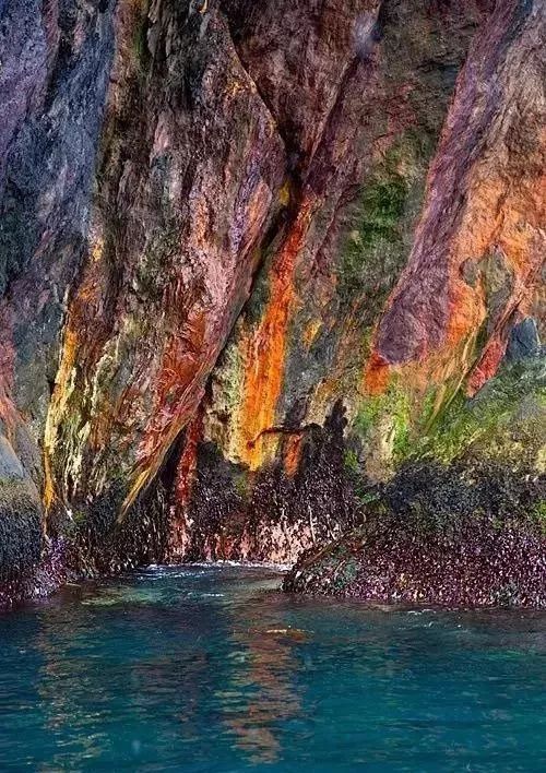 大自然的奇迹,大自然的奇迹鬼斧神工